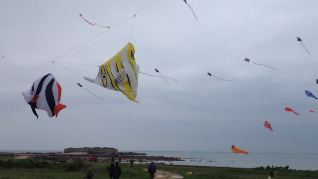 Les cerfs volants de Tatihou