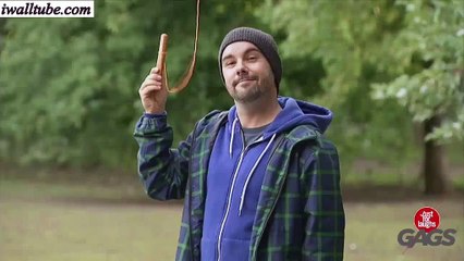 Pin Teasing Dogs With a Drone