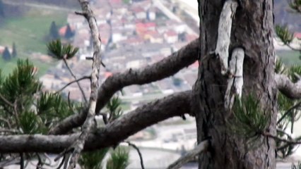 Frazione di Ovedasso - Moggio Udisese (UD) - Monte Pisimoni #3