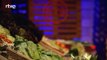 'MasterChef' vuelve el próximo martes a TVE con la mejor cocina, emoción, espectáculo y más de 75 estrellas Michelin