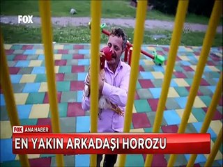 çocuklarının civcivken getirdiği Horoz Behlül en yakın arkadaşı oldu