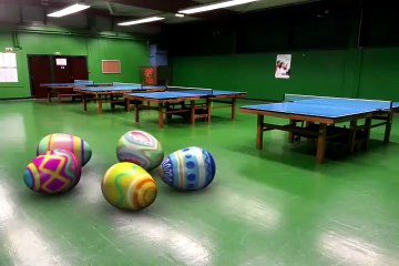 Joyeuse fête de pâques