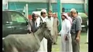 Funny clip from saudi -