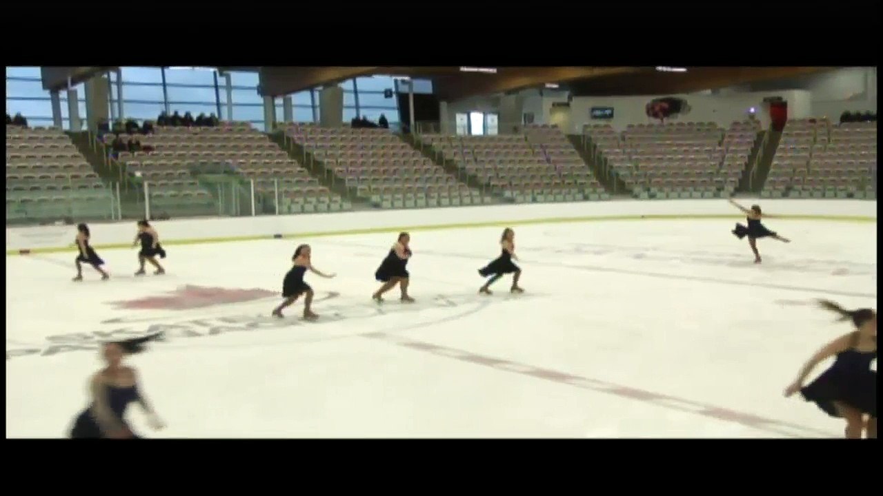Adult SYS II  Synchro Free Program 2 (REPLAY)