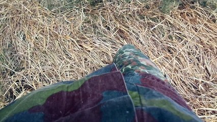 Frazione di Ovedasso - Moggio Udisese (UD) - Monte Pisimoni #1