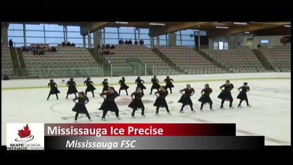 Adult SYS II  Synchro Free Program 2 (REPLAY)