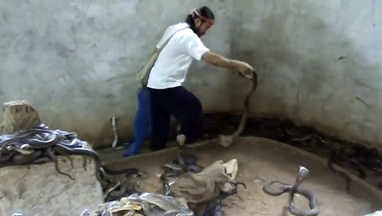 Cobra SLAP - Risky Job