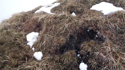 Frazione di Ovedasso - Moggio Udisese (UD) - Monte Pisimoni #5