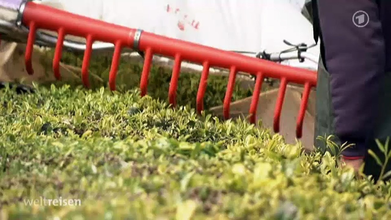 Weltreisen - Ein Hoch auf die Azoren