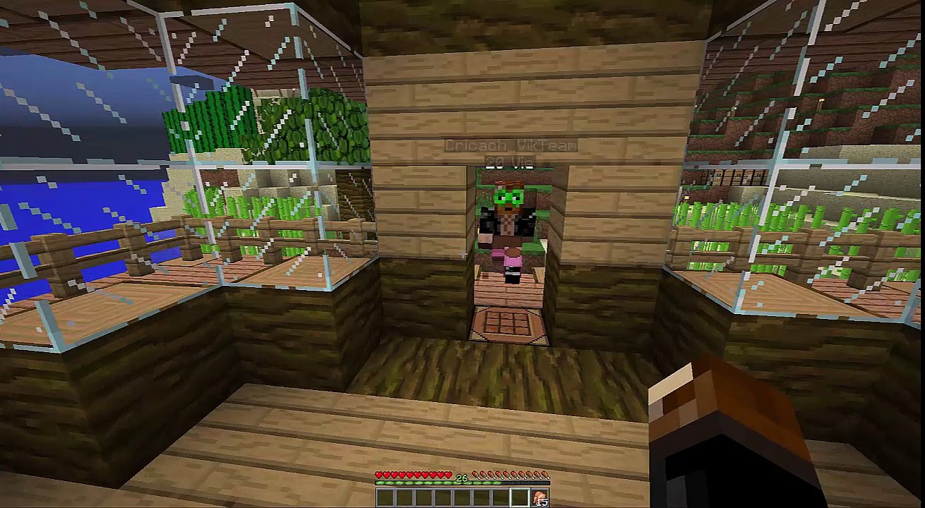 [Serveur VikTeam] Présentation 2