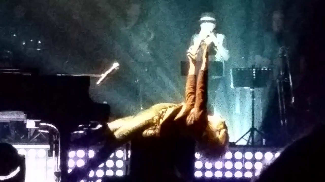 VERONIQUE SANSON 2015 - LES ANNEES AMERICAINES - LYON - MR DUPONT