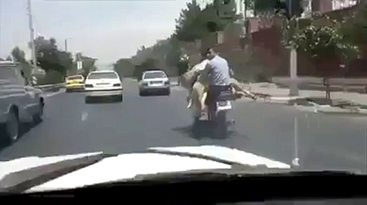 Goat riding a bike