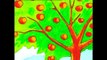 Timmy, boy with apples. English for Children Nursery Rhymes. Playway to English Unit.9. Ex.4. Rhymes