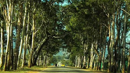 Nandi Hills -