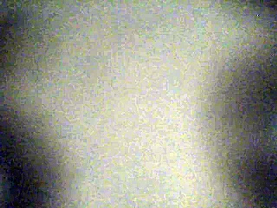 Fried  Chicken Wisdom - Rae Dawn Chong