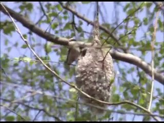 Parki krajobrazowe Warmii i Mazur
