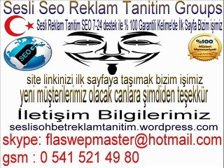 Seo Hizmeti