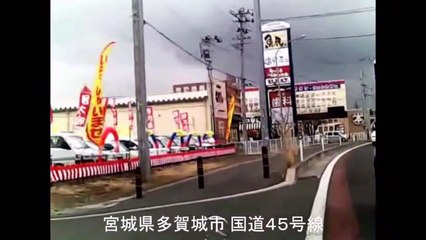 Operation Tomodachi: Great East Japan Earthquake 2011