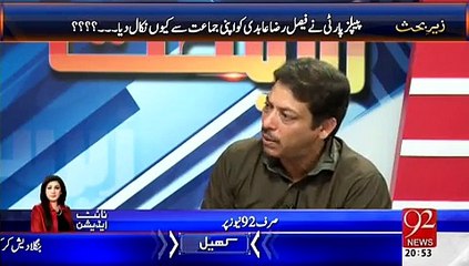 PTI Hi Aksariyat Jamat Thi Jis Ka Mandate Chena Gaya Hai - Faisal Raza Abdi