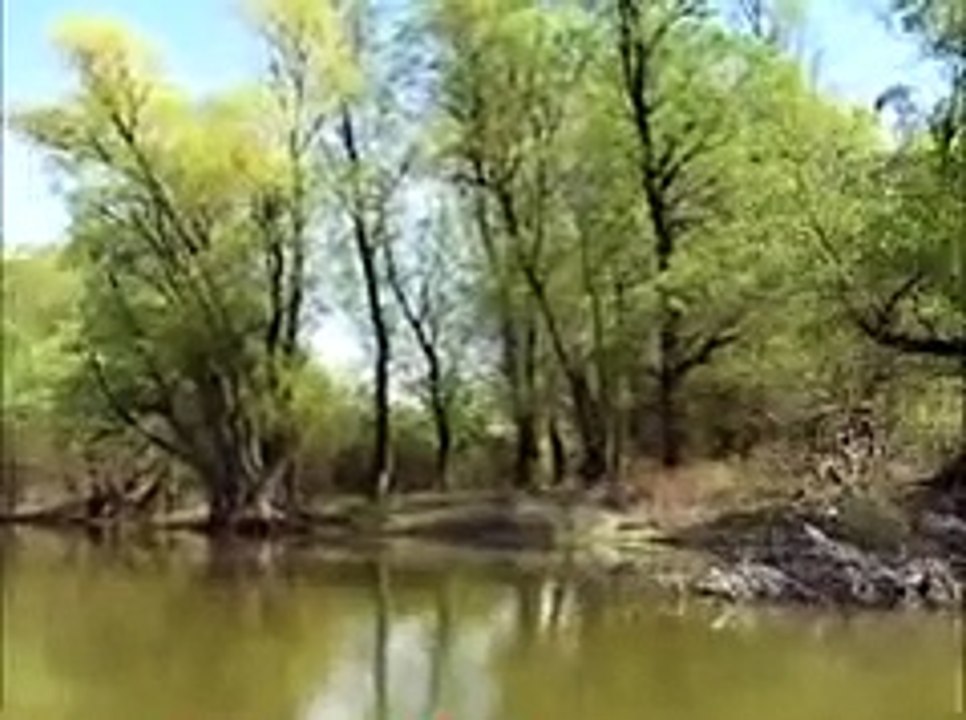 Na lepom plavom Dunavu...