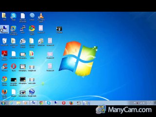 HOW TO OPEN .swf file with browser