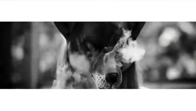 Эльбрус Джанмирзоев-Тишина мой друг, тишина мой враг