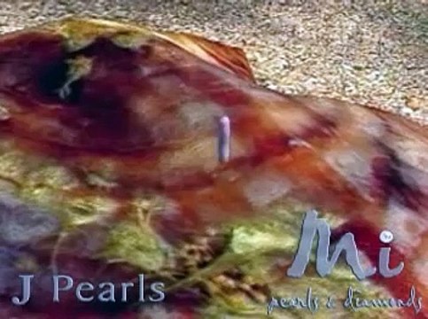 Video on how pearls are formed Naturally