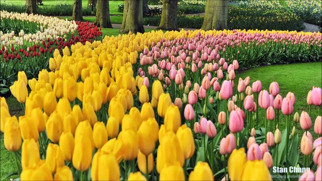 5# Le Zapping du Délire