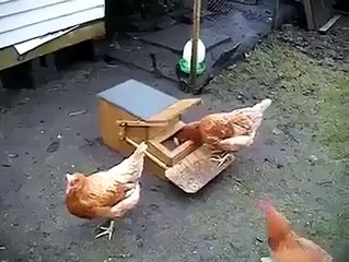 what an awesome idea.Must watch.