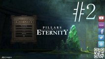 Pillars of Eternity - Let's Play - sub Español- 1080p #2