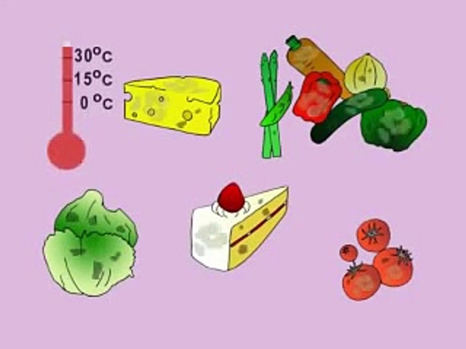 Micro Organisms