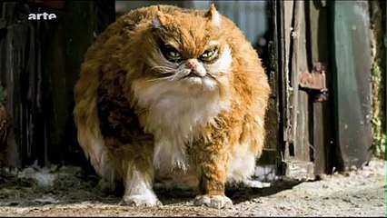 pierre et le loup thème du chat