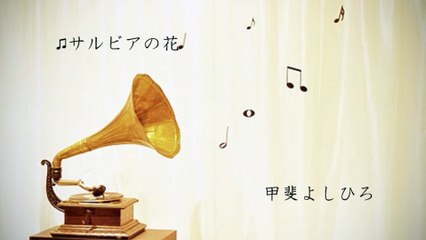 「サルビアの花」　甲斐よしひろ