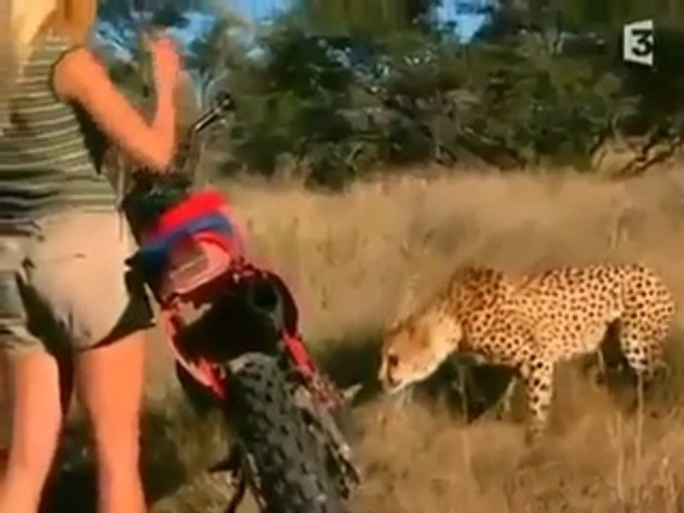 إذا أدرت له ضهرك يهجم عليك و إذا نظرت في عينيه يخاف... ما أقوى قلبها