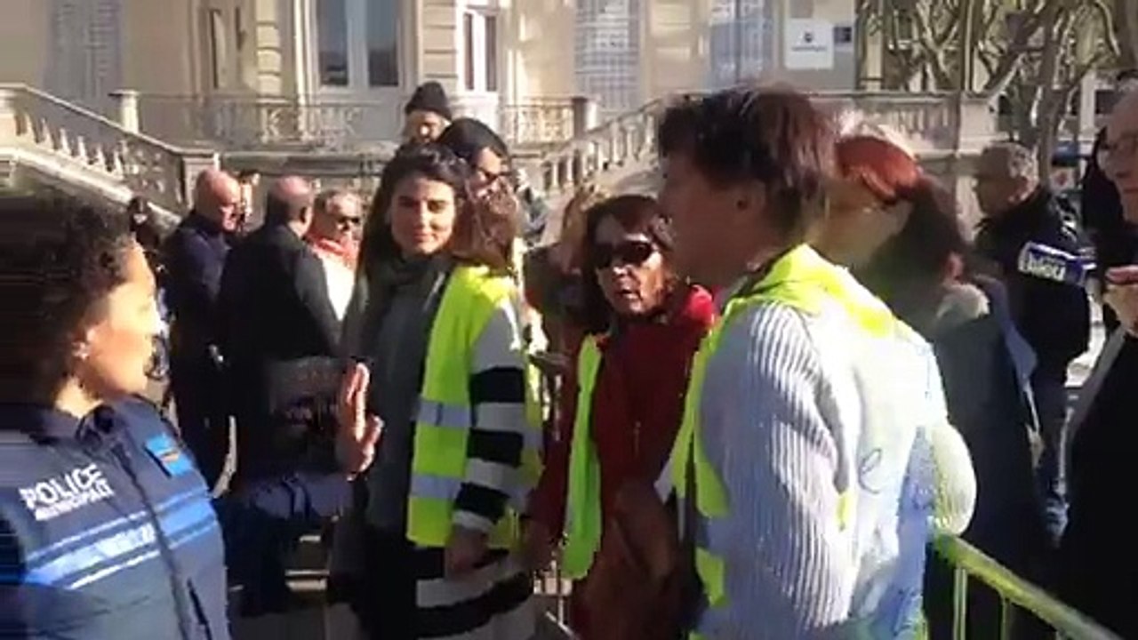 Avignon : les militants écologistes protestent contre le chantier d'abattage des platanes