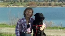 Introduction to the SENSE-ation ® & SENSE-ible ® Dog Harnesses