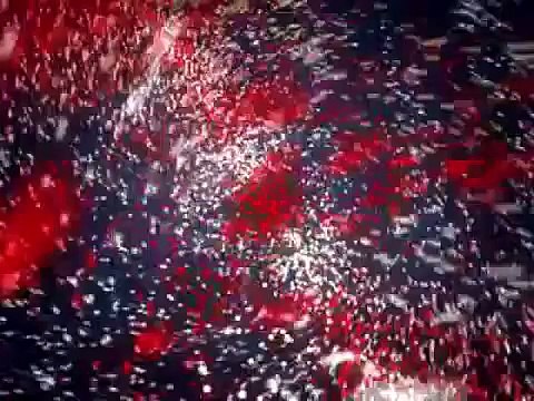 KFC McDonalds Taco Bell - MEAT (Whats in ur cooked flesh food?) FDA USDA ? Healthy Vegan PETA HSUS