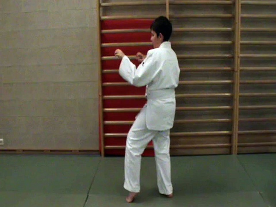 Position : neko ashi