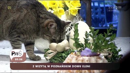 04.04.2015r Z wizytą w Poznańskim domu Eleni