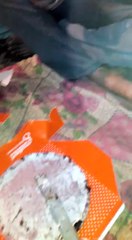 birthday party special