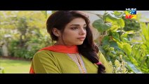 Nikah - Episode 14 - Full episode - HUM TV Drama - 5 April 2015