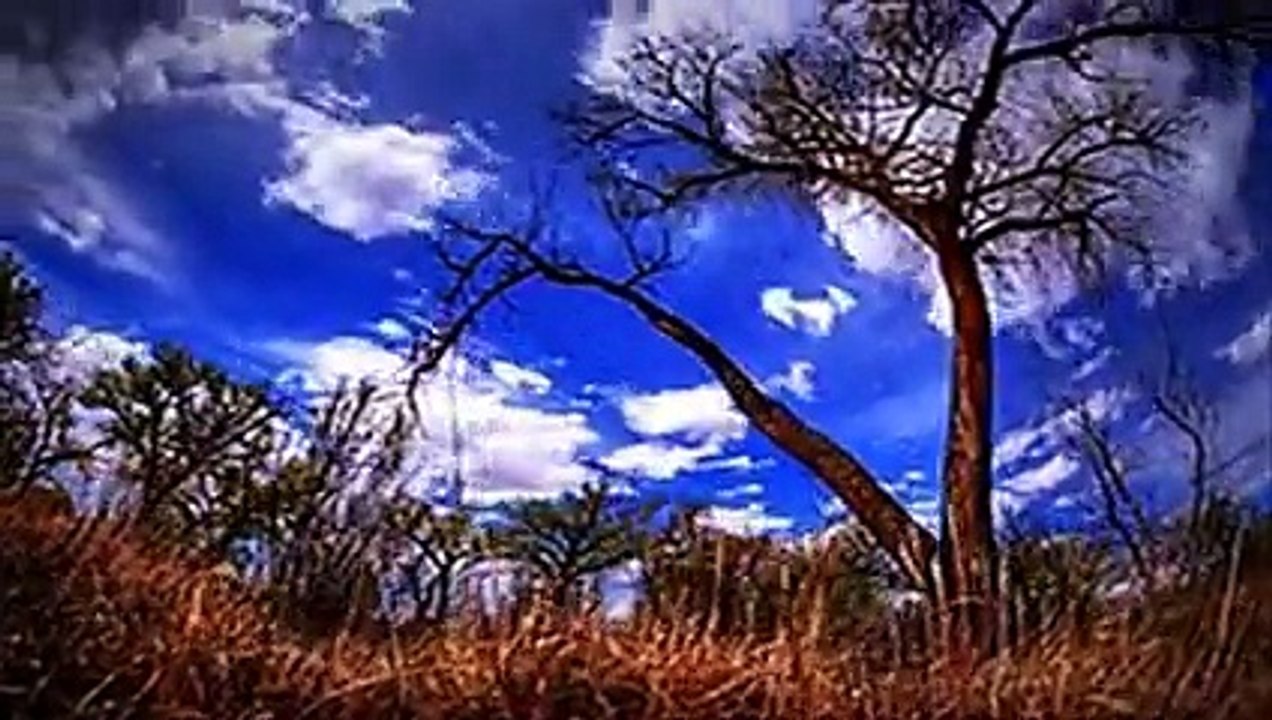 JEAN MICHEL JARRE - Oxygene 13 - XIII - The Symphonic