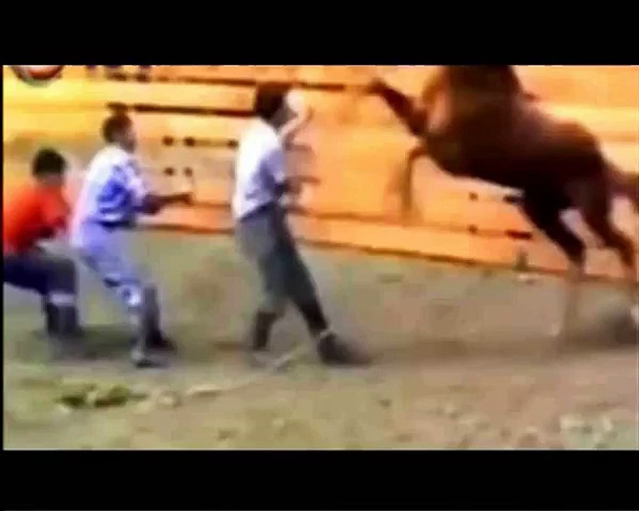 Animals Can Be Jerks - Supercut Compilation 2015