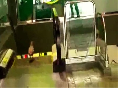 شوف وانسى همومك 1236 وين رايح