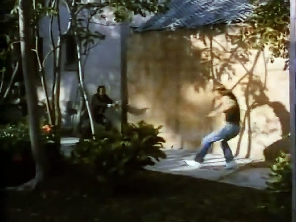 Bud Spencer und Terence Hill - Die Miami Cops - Trailer Deutsch