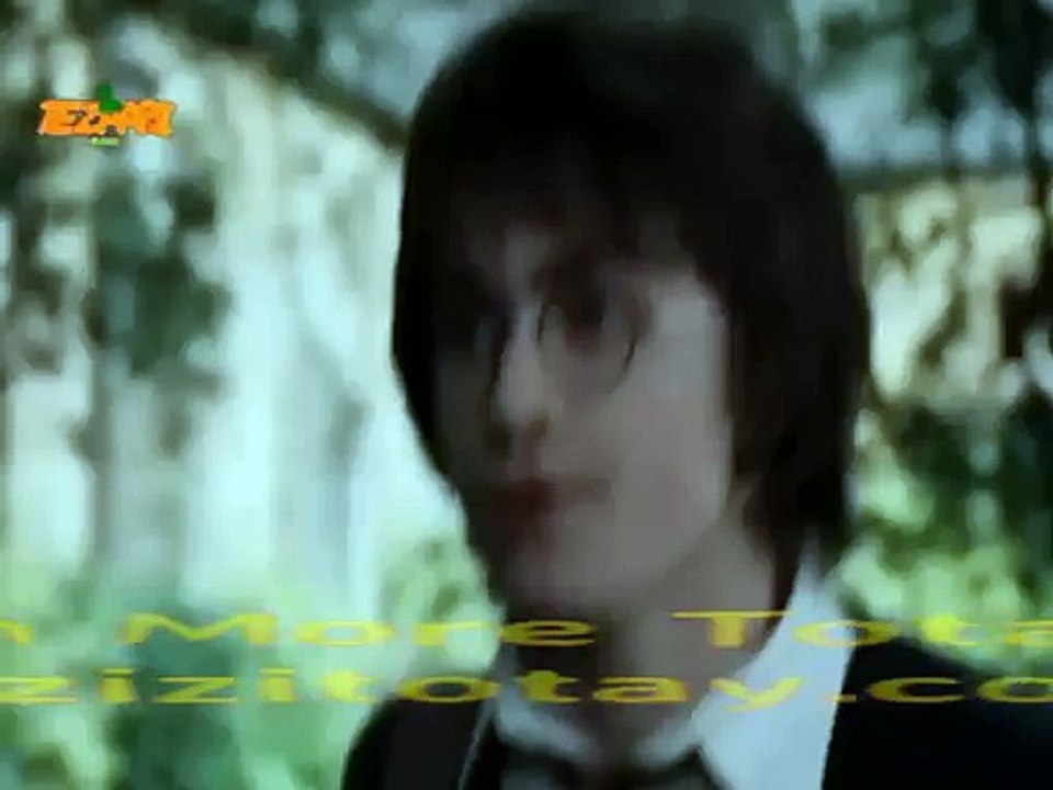 Harry Poter Chitti Bandri New Tezabi Totay