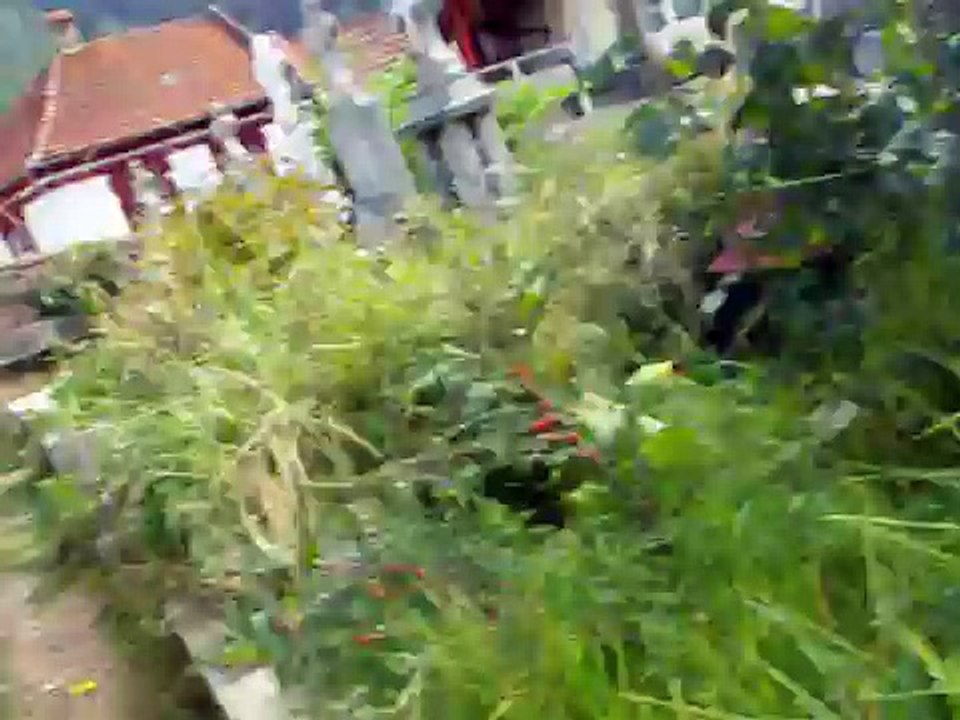 Die Jahreszeiten Recitative