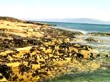 Playa de Rodas, Islas Cies, Galicia, España