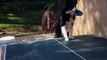 Ce chien est un véritable pro du ping-pong !