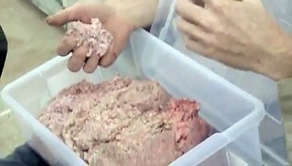 PALEO DIET & primal diet꞉ daily dietary intake for inducing muscle growth꞉ #123